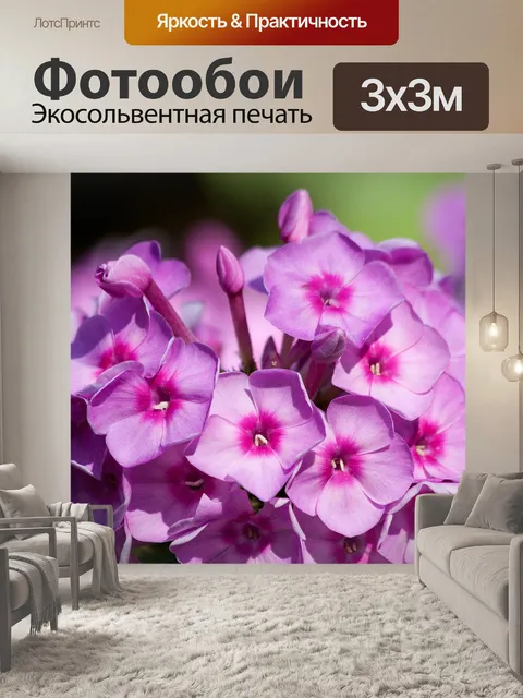 Фотообои Сад флокс