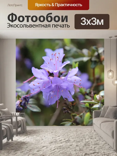 Фотообои Азалия