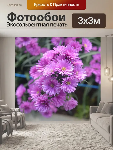 Фотообои Фиолетовый