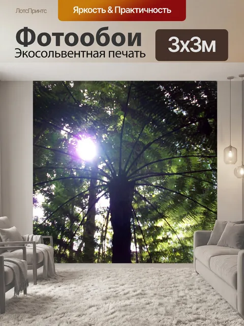 Фотообои Красивое дерево Папоротник
