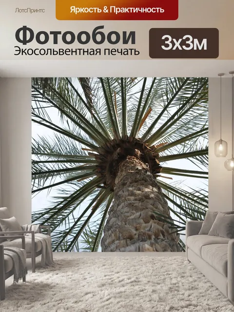 Фотообои Пальма