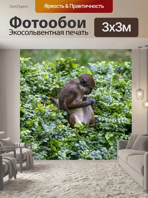 Фотообои Обезьяна в кустах