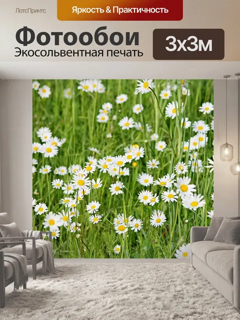 Фотообои Дикие ромашки