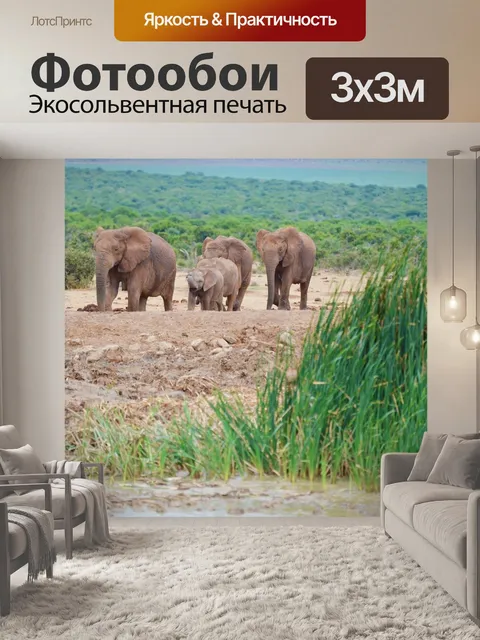 Фотообои Слоны