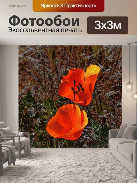 Фотообои маки