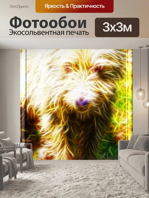 Фотообои бродячая собака