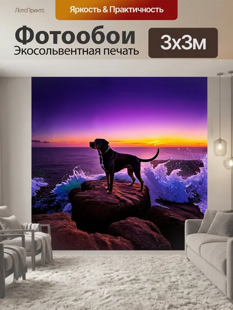 Фотообои лабрадор, величественно стоящий на скале над морем, его силуэт контрастирует с ярким закатом, окрашивающим…