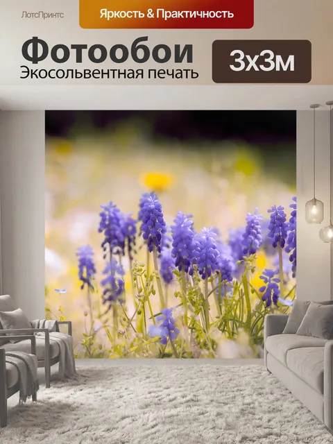 Фотообои Цветной