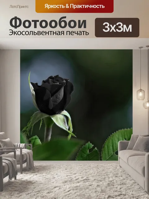 Фотообои Роза