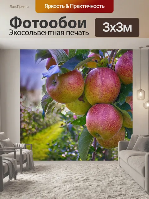 Фотообои Яблоки