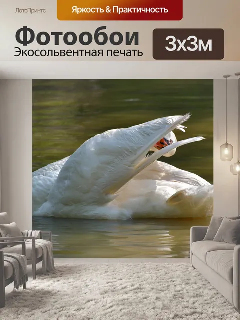 Фотообои Лебедь