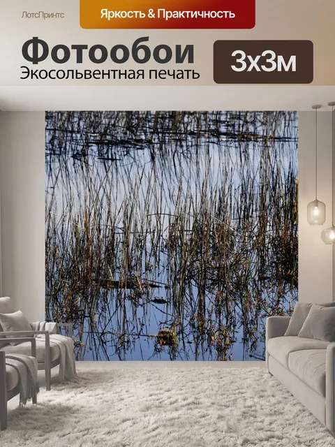 Фотообои Тростник и синий