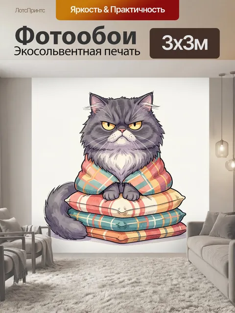 Фотообои Суровый серый кот на подушках