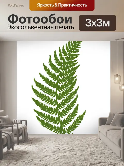 Фотообои Силуэт листьев папоротника Клипарт