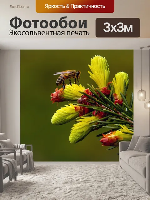 Фотообои Ель