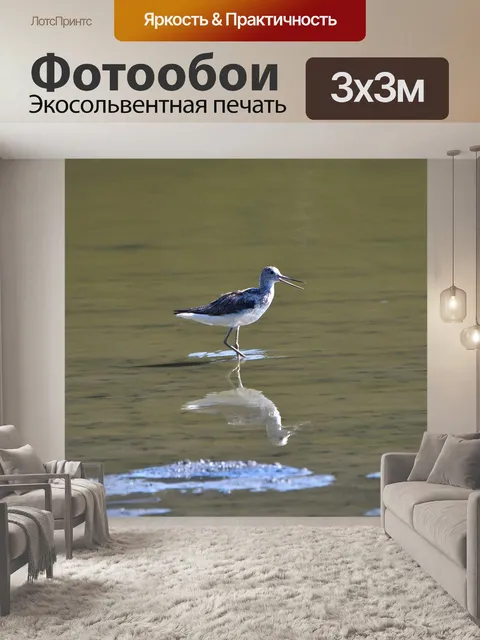 Фотообои Вод