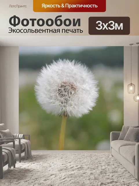 Фотообои Одуванчик