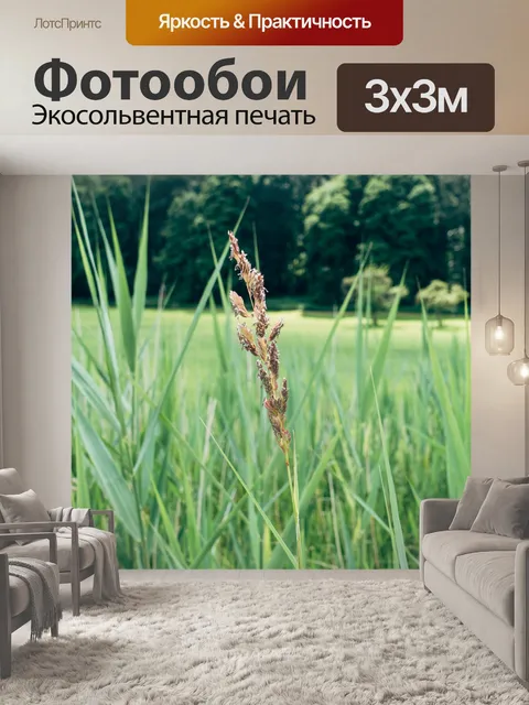 Фотообои Острие травы