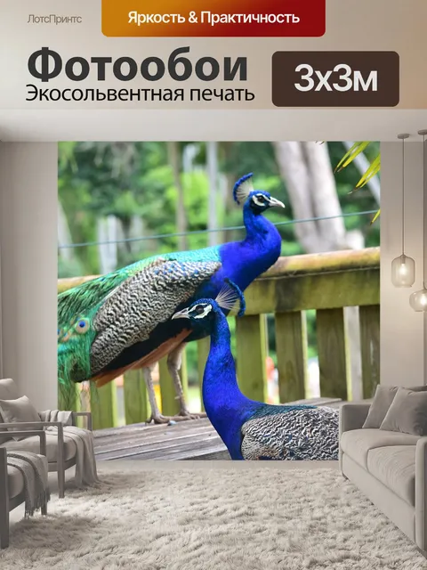 Фотообои Павлин
