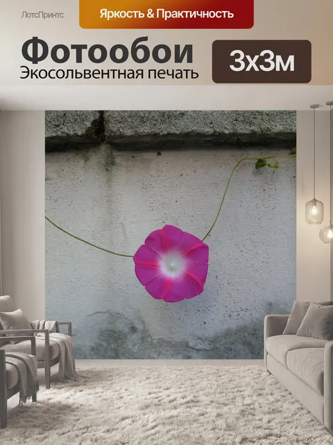 Фотообои Утренняя слава