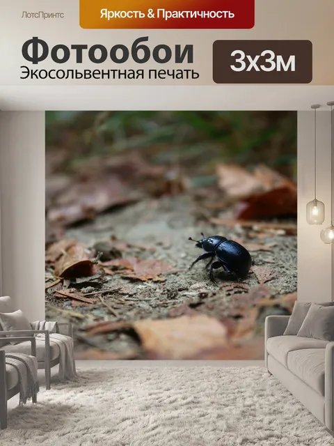Фотообои Жук