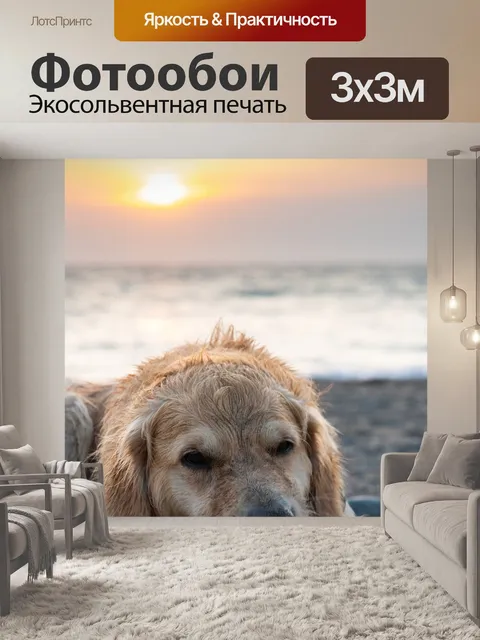 Фотообои Солнце