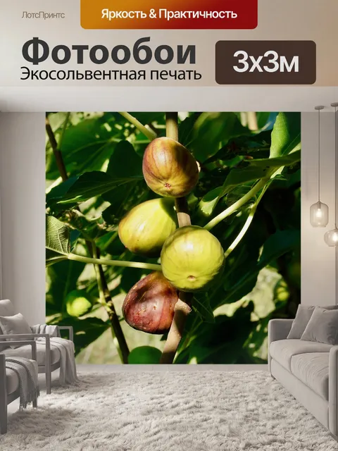 Фотообои Инжир