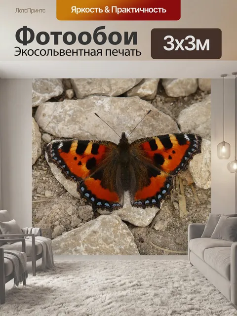 Фотообои Маленькая лиса