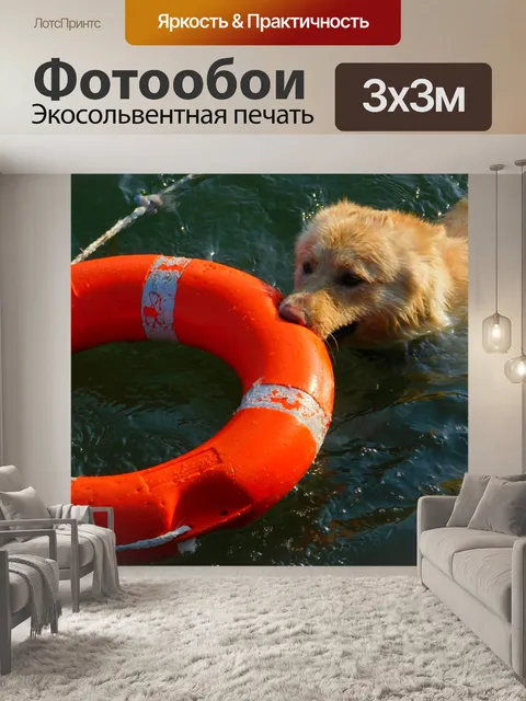 Фотообои Собака