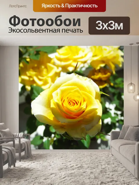 Фотообои Желтая роза
