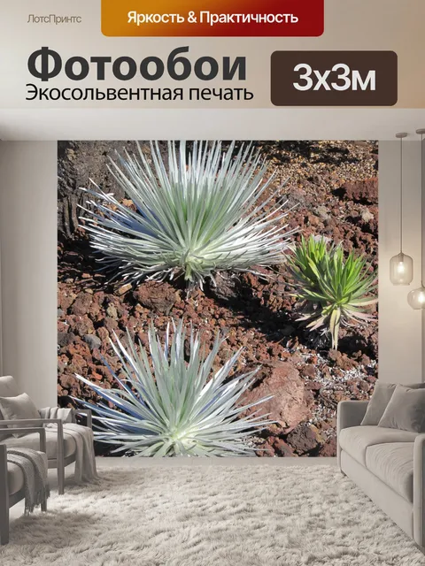 Фотообои Халеакала Серебряный Меч