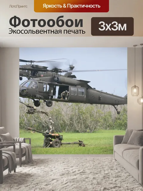 Фотообои Черный ястреб