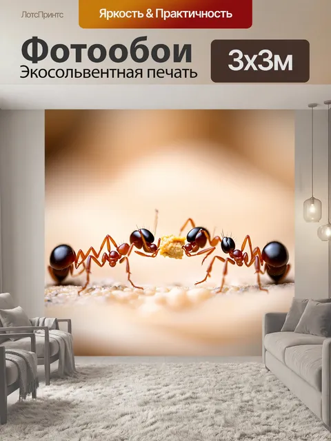 Фотообои изображение муравьев в их естественной среде обитания