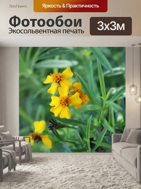 Фотообои желтыми цветами фона 2