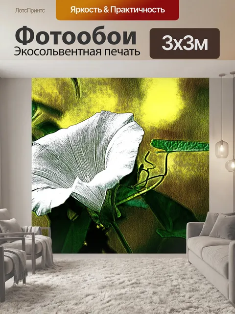 Фотообои Вьюнок, цветок, Calystegia sepium