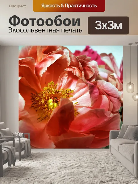 Фотообои Пионы