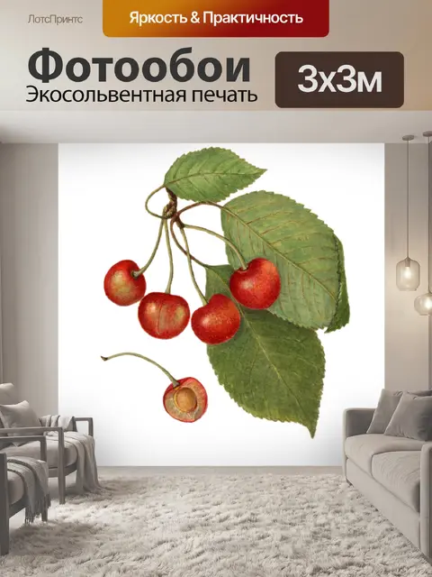 Фотообои Вишня фруктовый фруктовый винтаж