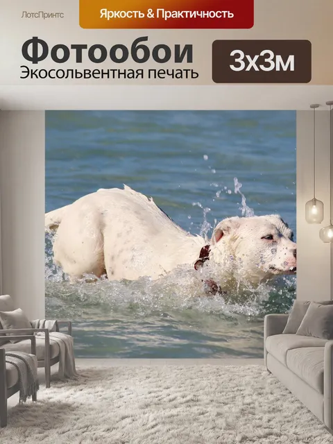 Фотообои Собака