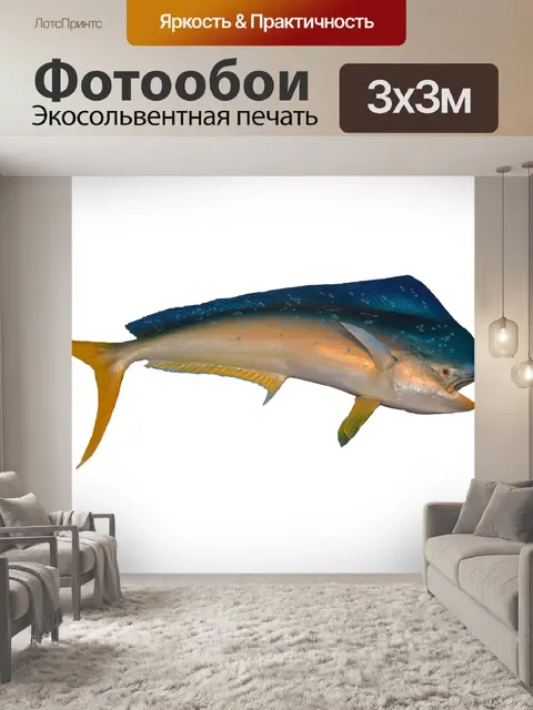 Фотообои Дельфин Рыба