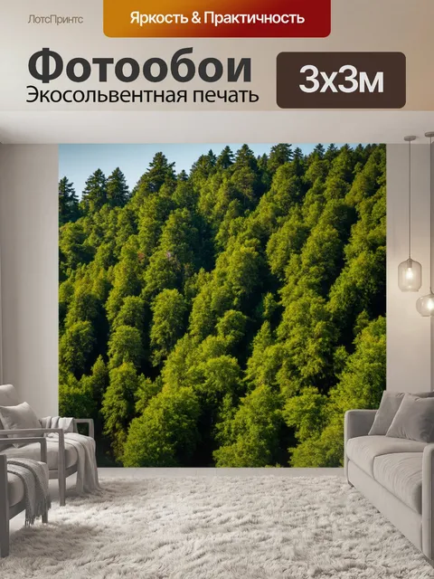 Фотообои россия леса, густые зелёные деревья, покрывающие холмы, солнечные лучи пробиваются сквозь листву, уютная…
