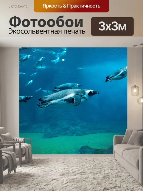 Фотообои Пингвин