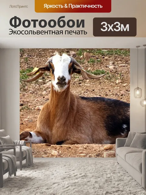 Фотообои Козел