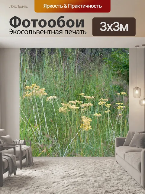 Фотообои желтые полевые цветы в высокой траве