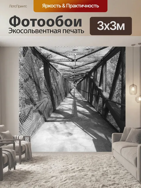 Фотообои Черно-белый мост