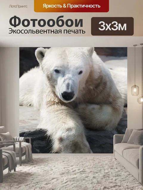Фотообои белый медведь