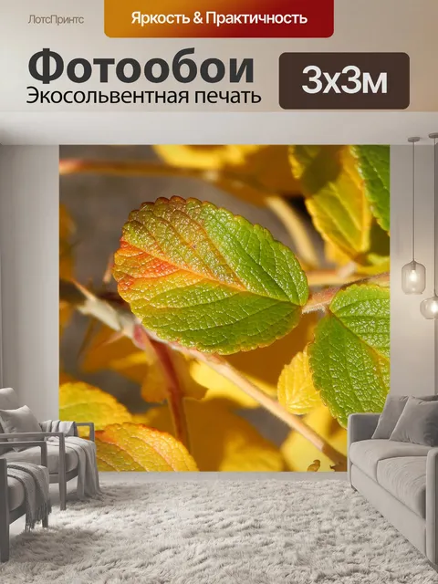 Фотообои Осенняя роза морщинистая