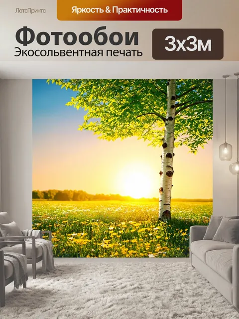 Фотообои береза, стоящая на фоне яркого весеннего заката, с зелеными листьями, проектирующими светлые тени на землю…