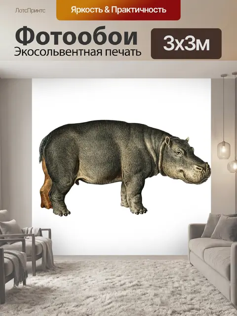 Фотообои Бегемот животных Винтаж клипарт