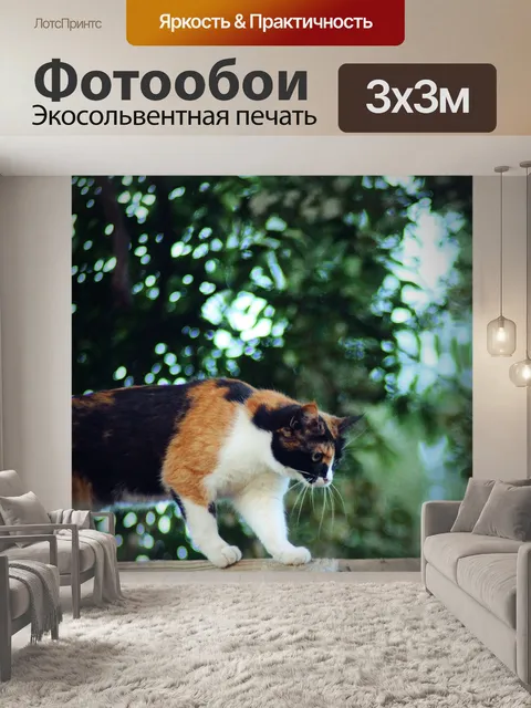 Фотообои Кошка на заборе