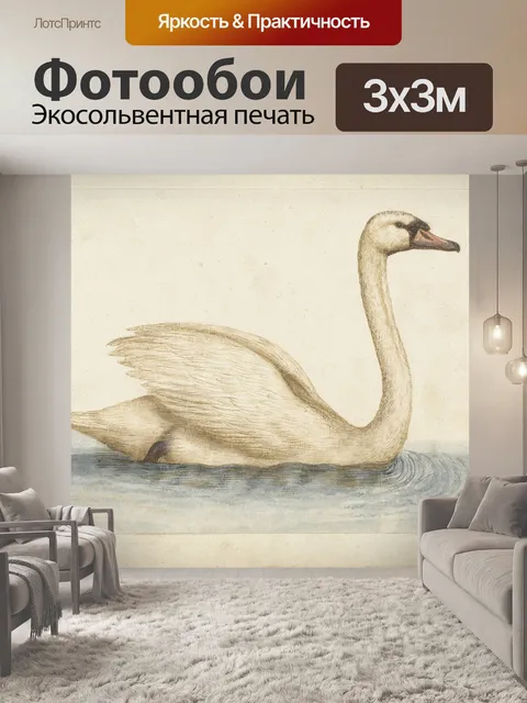 Фотообои Лебедь Олор